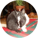 ChIJg LKIeU QUsRmyBPjrVLB 0 3292366464ec322f9e7a5c85db7c9782