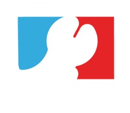 logo mad icone