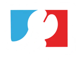 logo mad icone